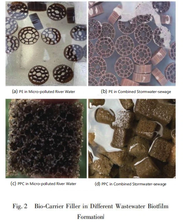 Biofilm Formation Rate of MBBR Packings with Different Materials Biofilm Formation Rate of MBBR Packings with Different Materials